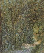 Vincent Van Gogh Path in the Woods (nn04) oil painting artist